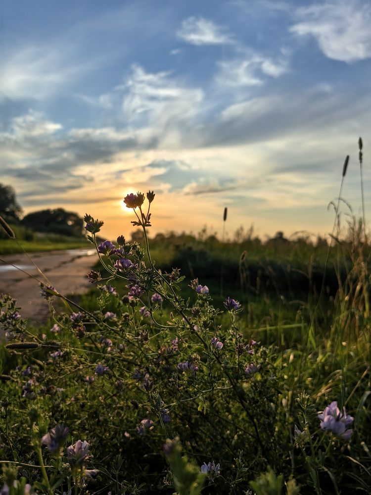 Photograph by Екатерина