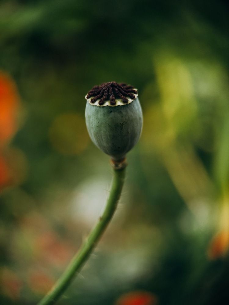 Photograph by Алиса Нежинская