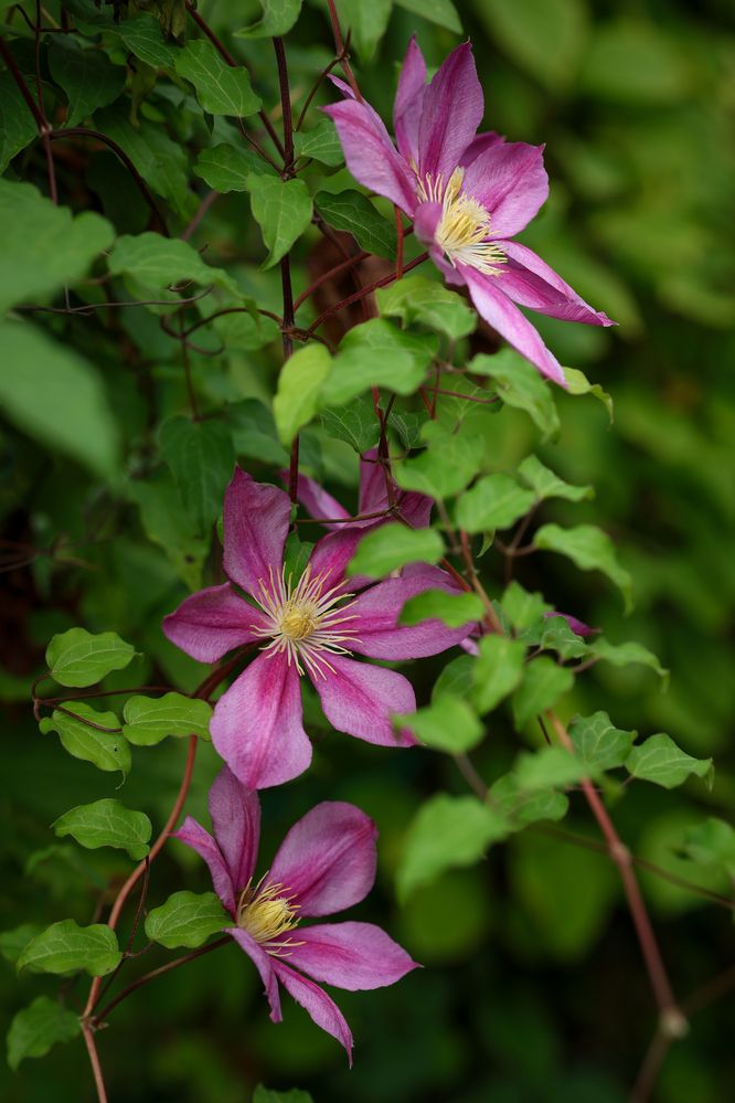 Photograph by Марина