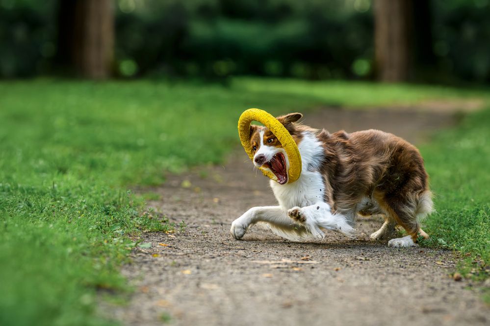 Photograph by Lucie Nermuťová