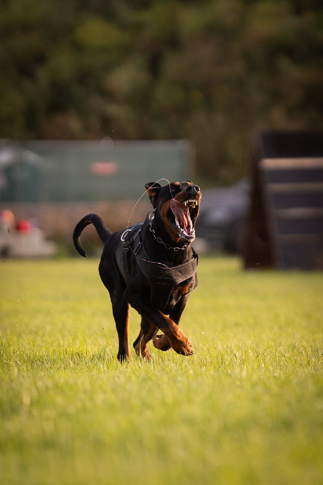 Photograph by Мария Романова