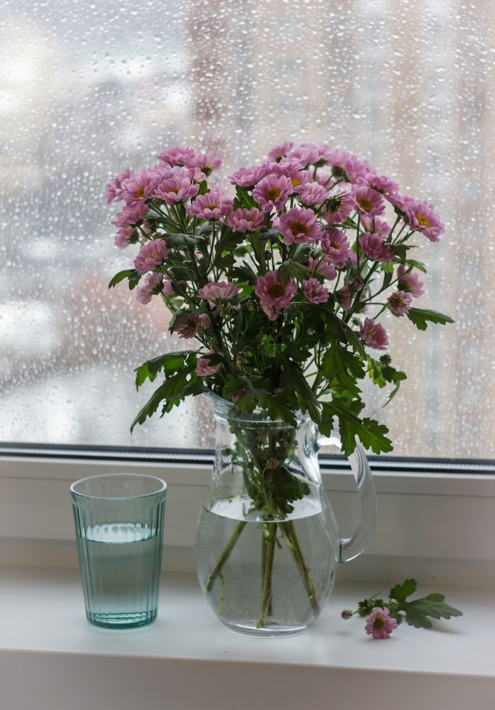 Photograph by Анна Яковлева