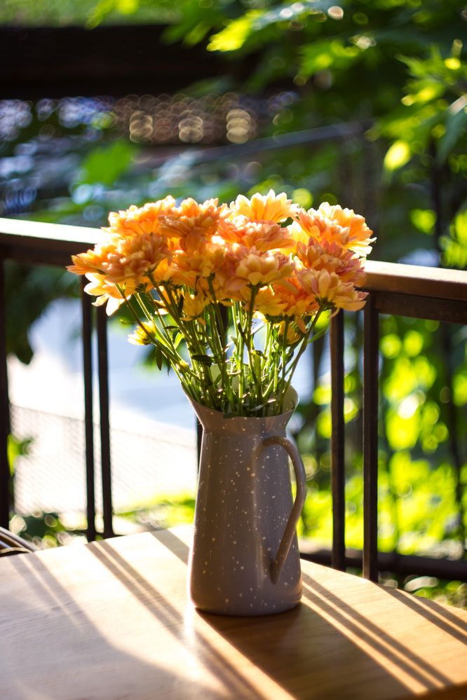 Photograph by Анна Яковлева