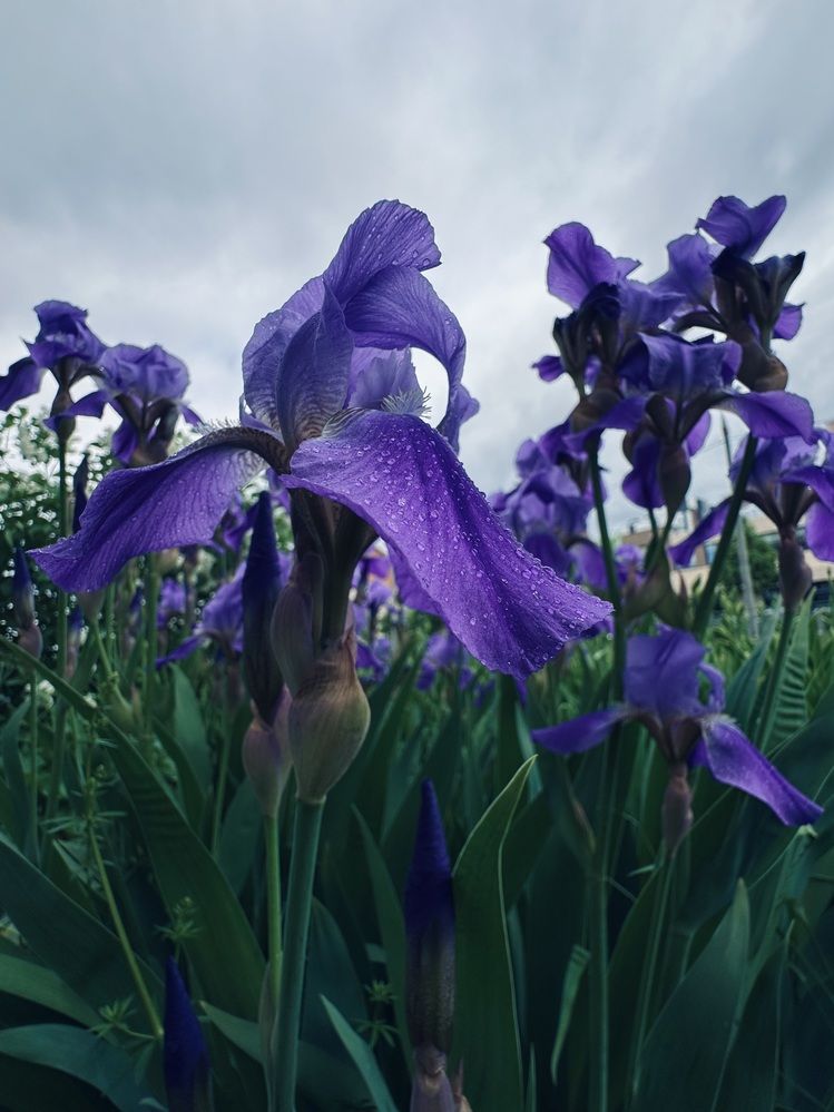 Photograph by Ксения Гулькова