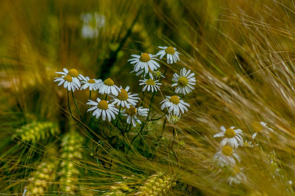 Photograph by Vitalii Kaznin