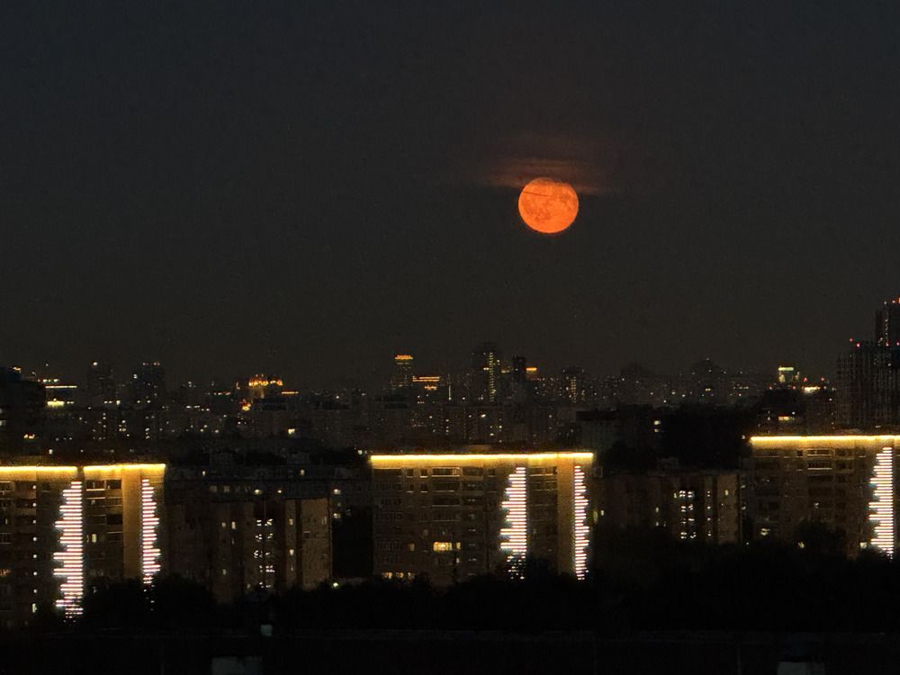 Лунная вуаль