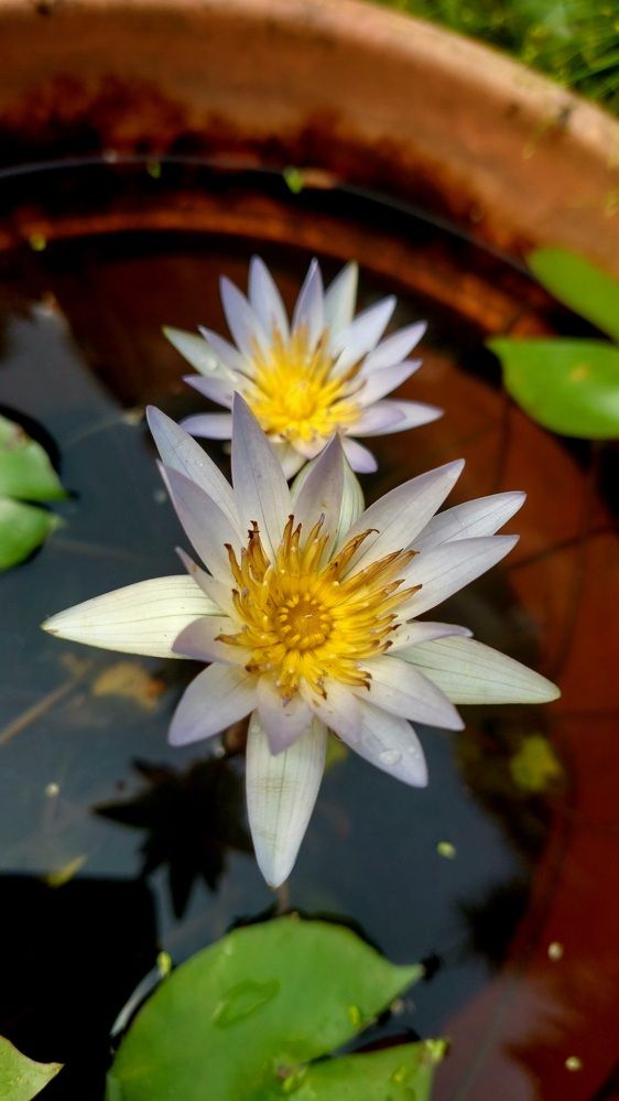 Photograph by Mostafa Shahriar