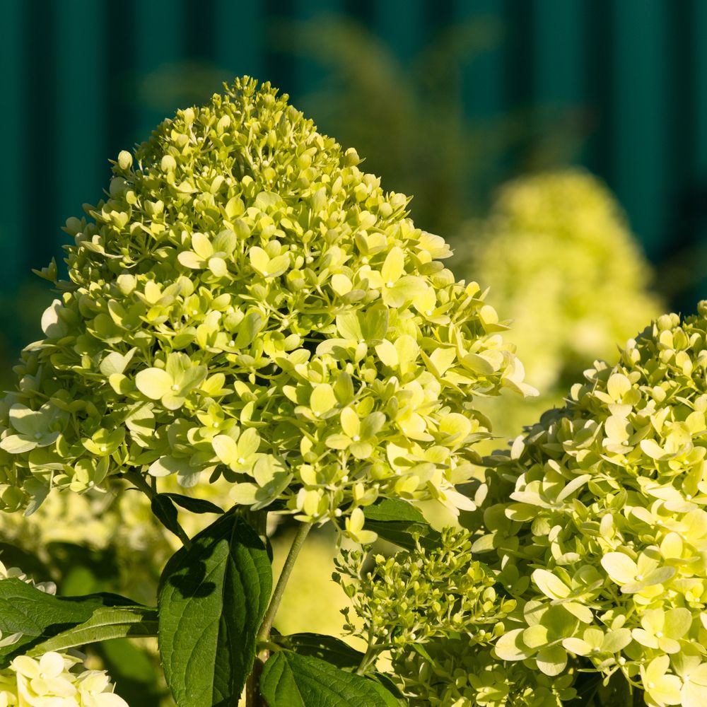 Photograph by Виктор Коптелов