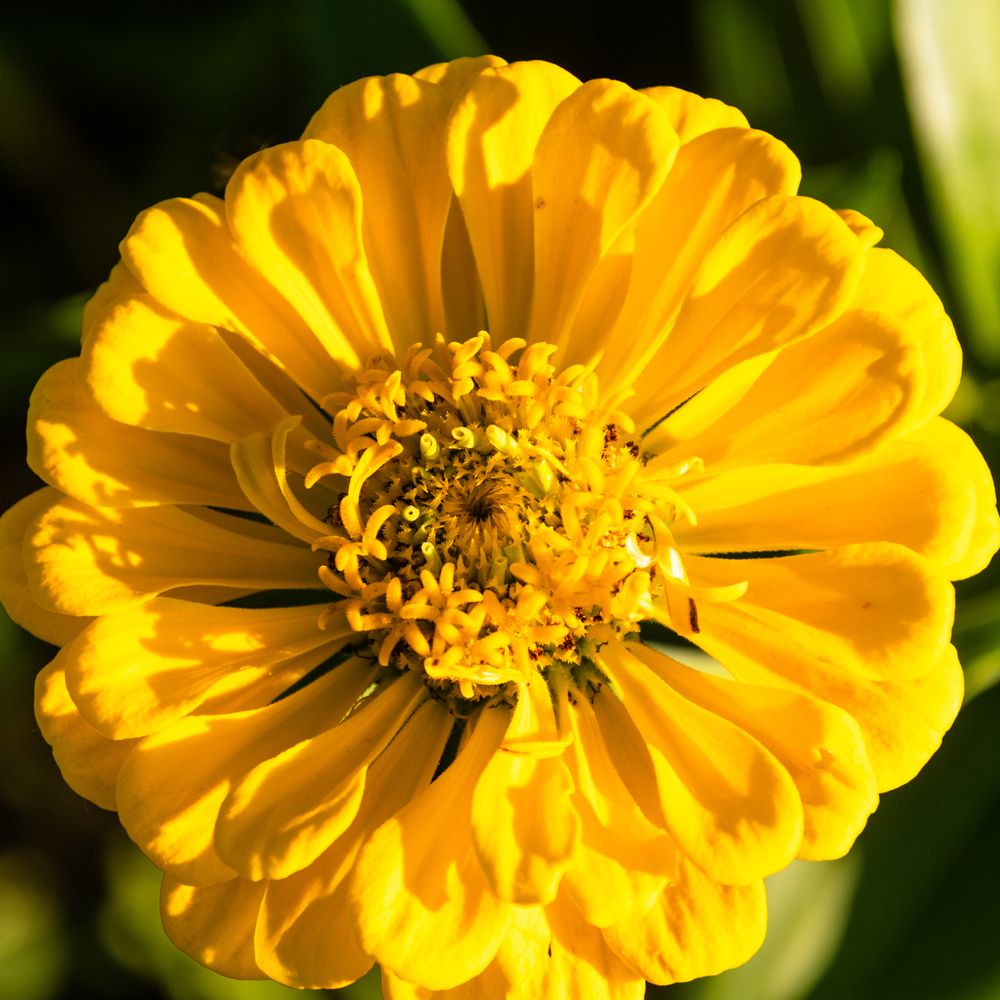 Photograph by Виктор Коптелов