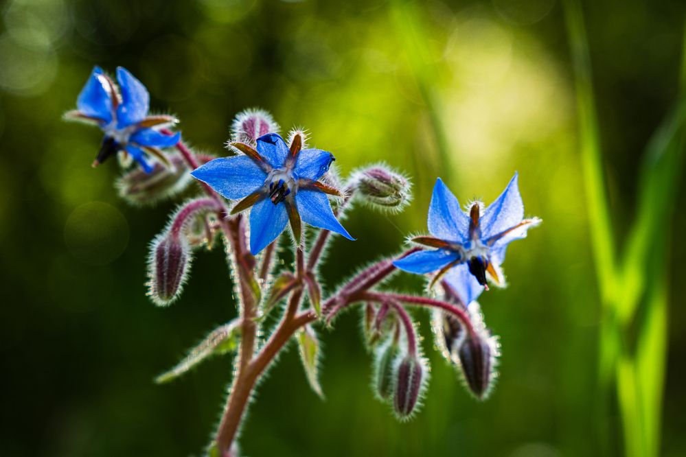 Photograph by Сергей Прищепа