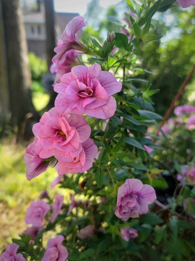 Photograph by Елена Орлова