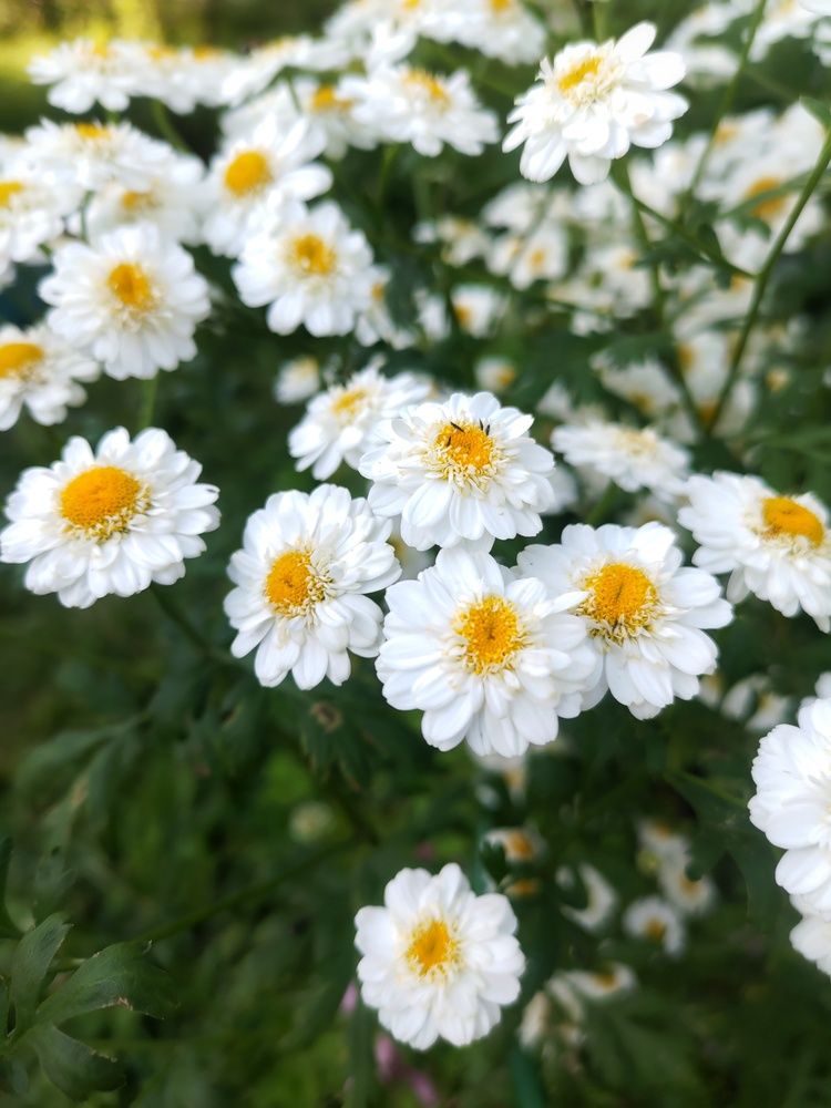 Photograph by Елена Орлова