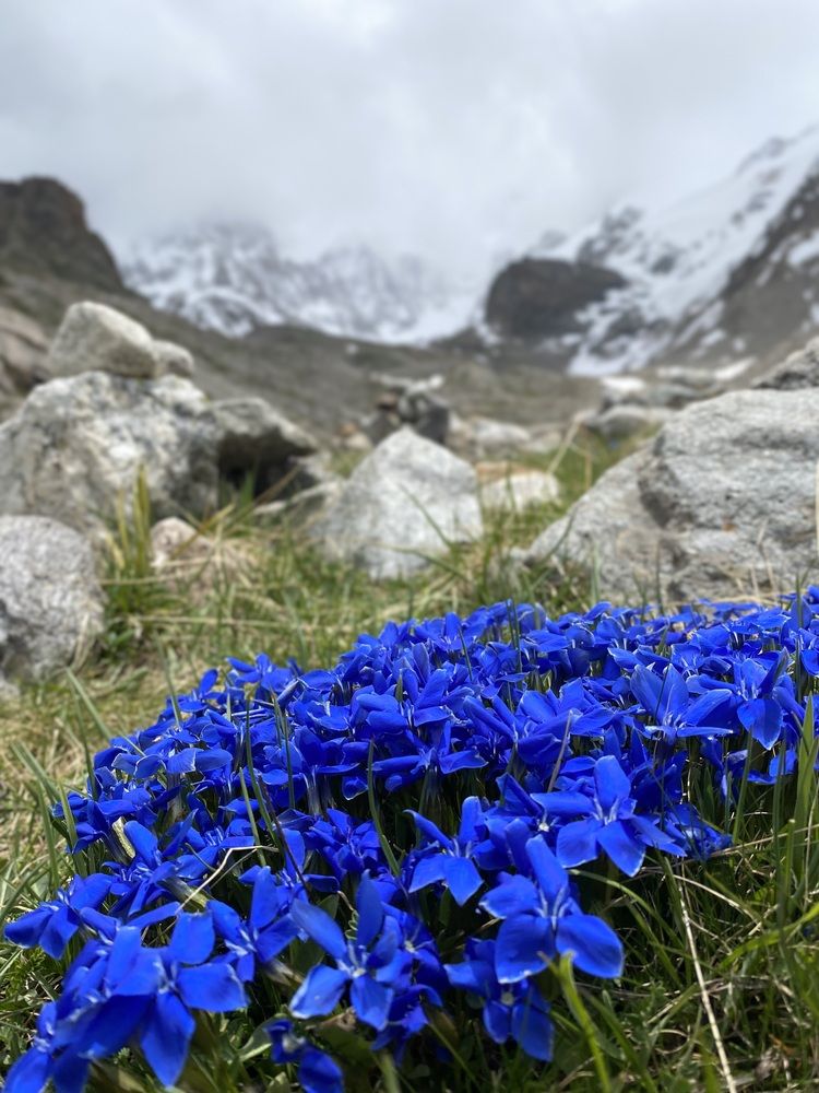 Photograph by Алиса Лукина