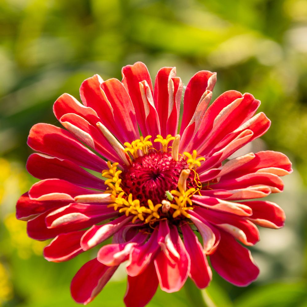 Photograph by Виктор Коптелов