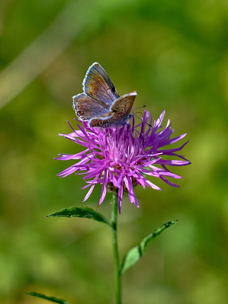 Photograph by Валерий Змачинский
