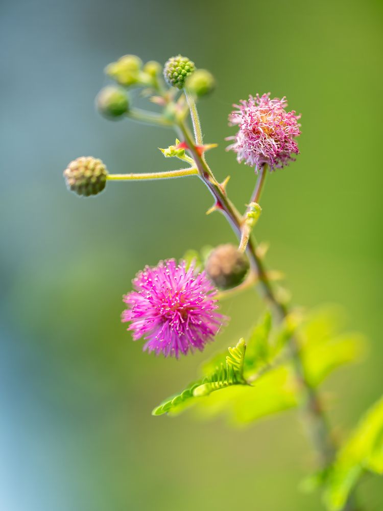 Фотография автора Sandip Mondal