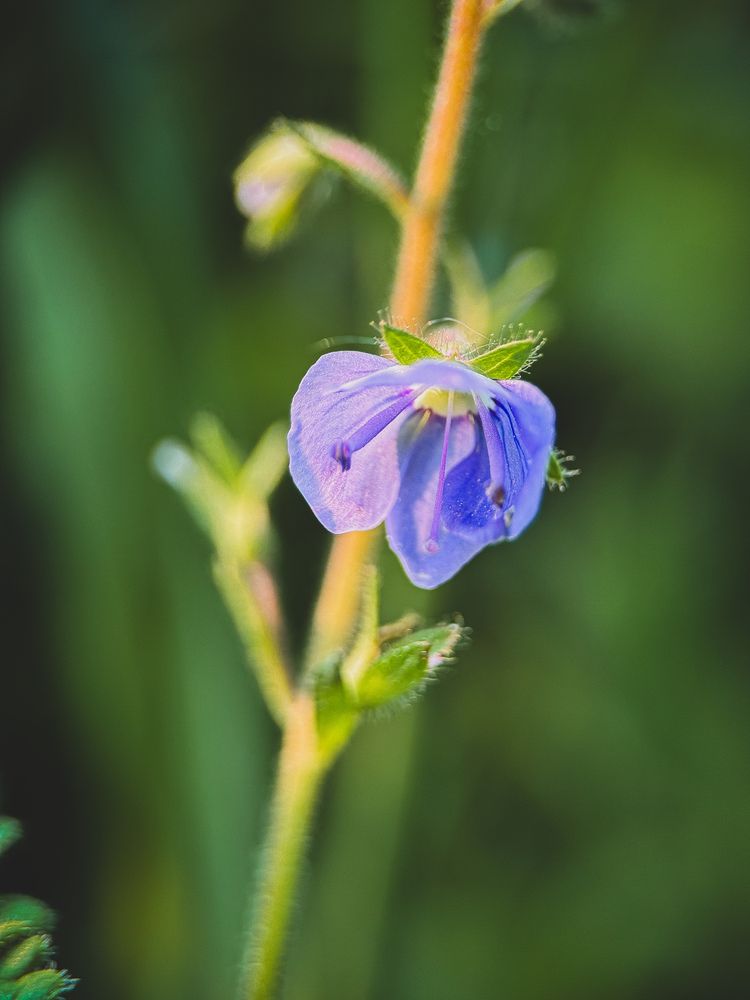 Photograph by Виктория