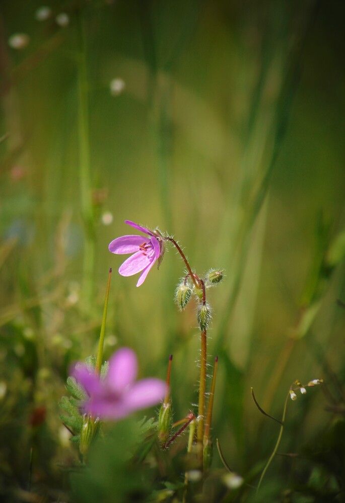 Photograph by Светлана Баяхчева (Тушавина)