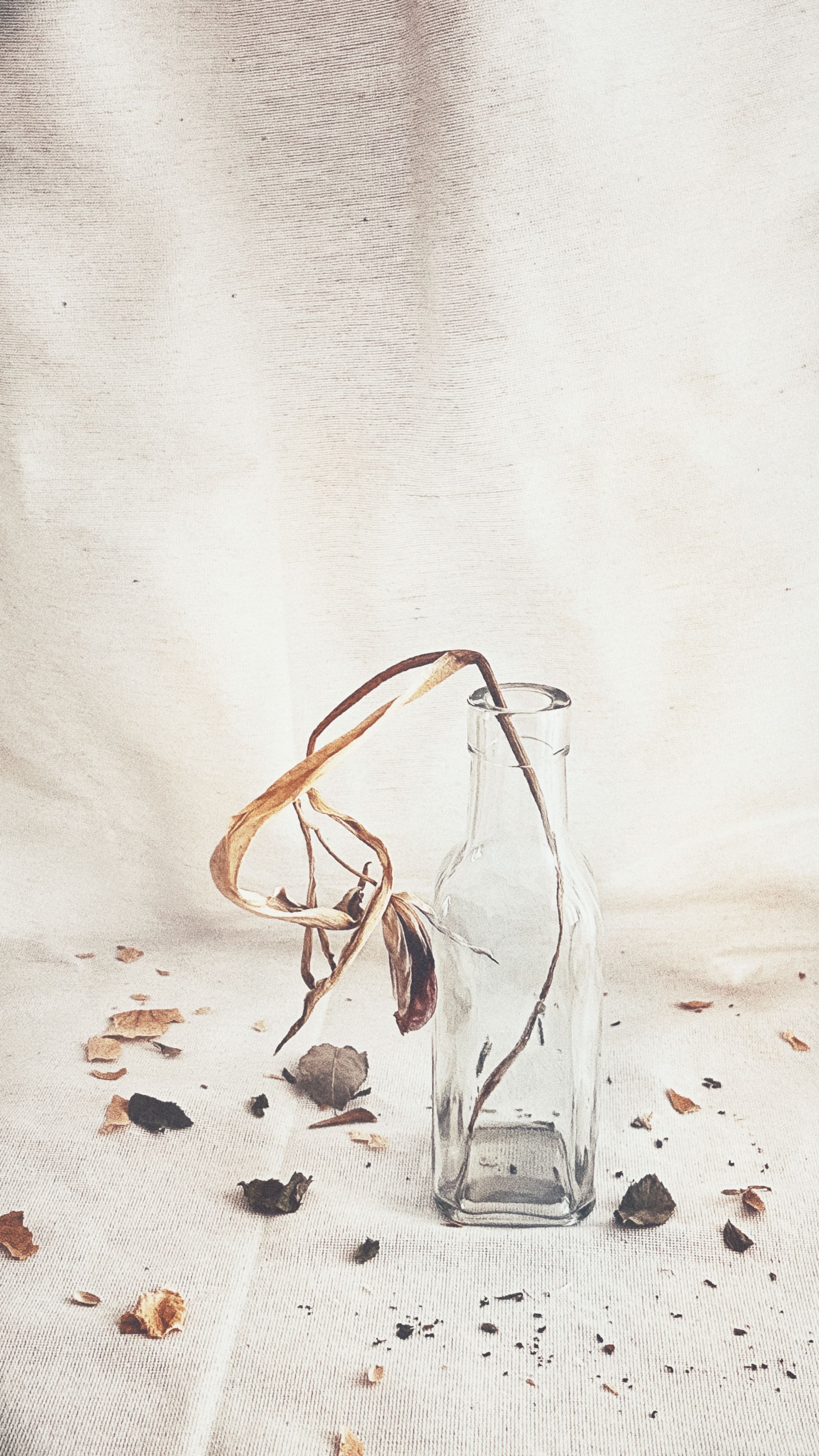 Photograph by Татьяна