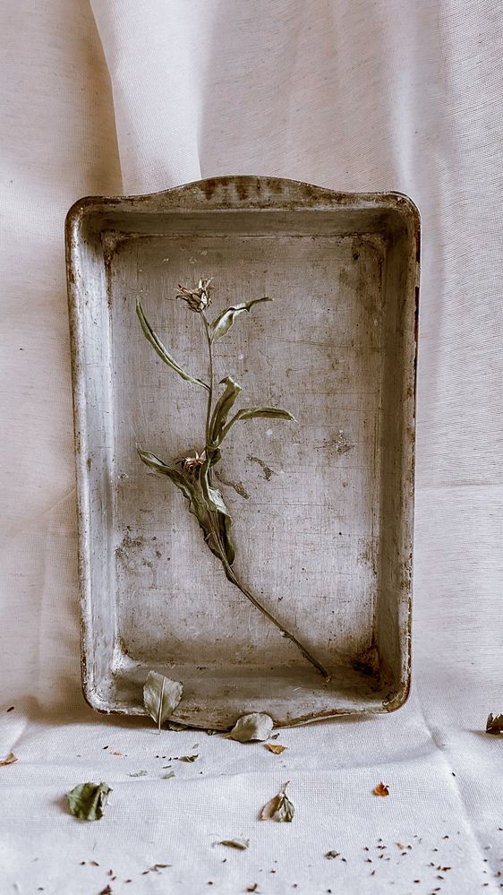 Photograph by Татьяна