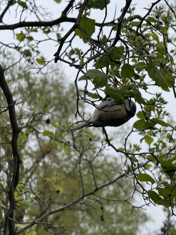 Фотография автора Евгения Брусенская