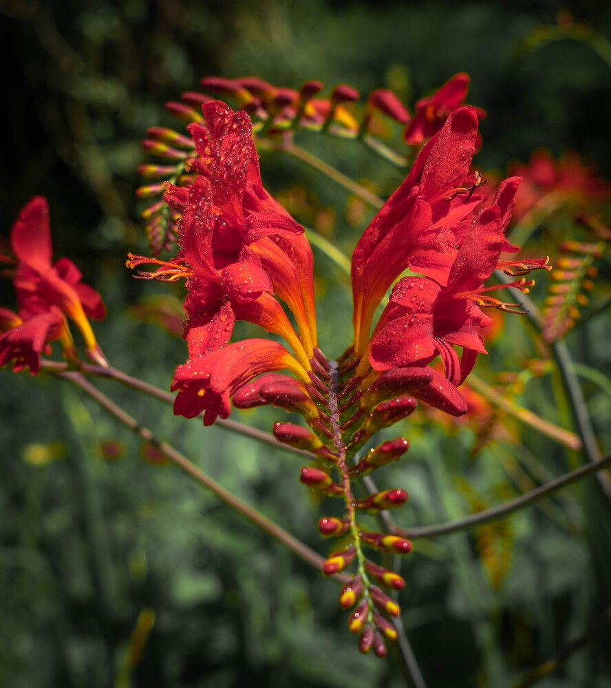 Photograph by Vitalii Kaznin