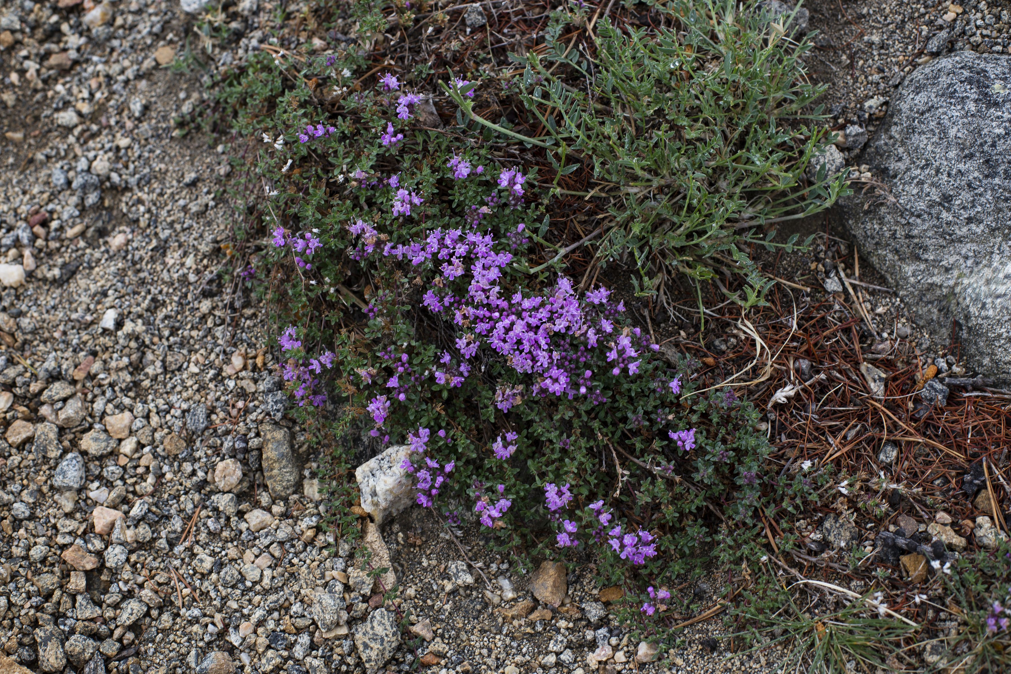 Photograph by Татьяна Шахматова