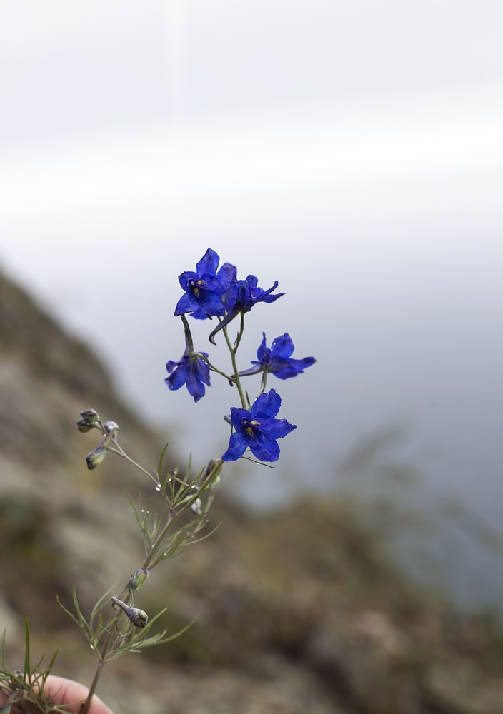 Photograph by Татьяна Шахматова