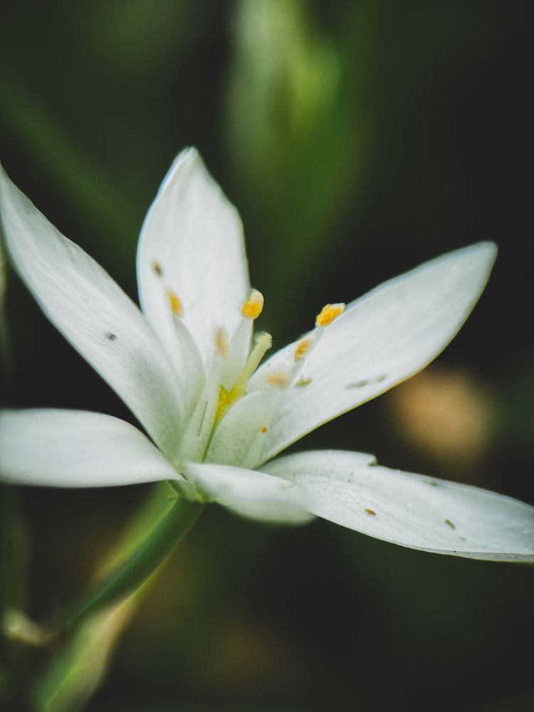 Photograph by Виктория