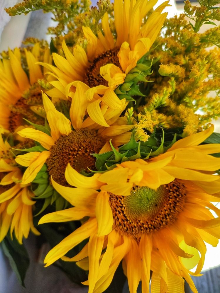 Photograph by Татьяна