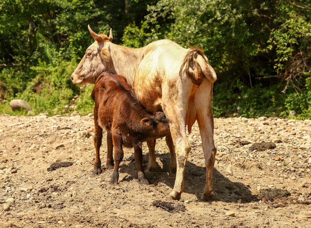 Photograph by Алексей Шевцов