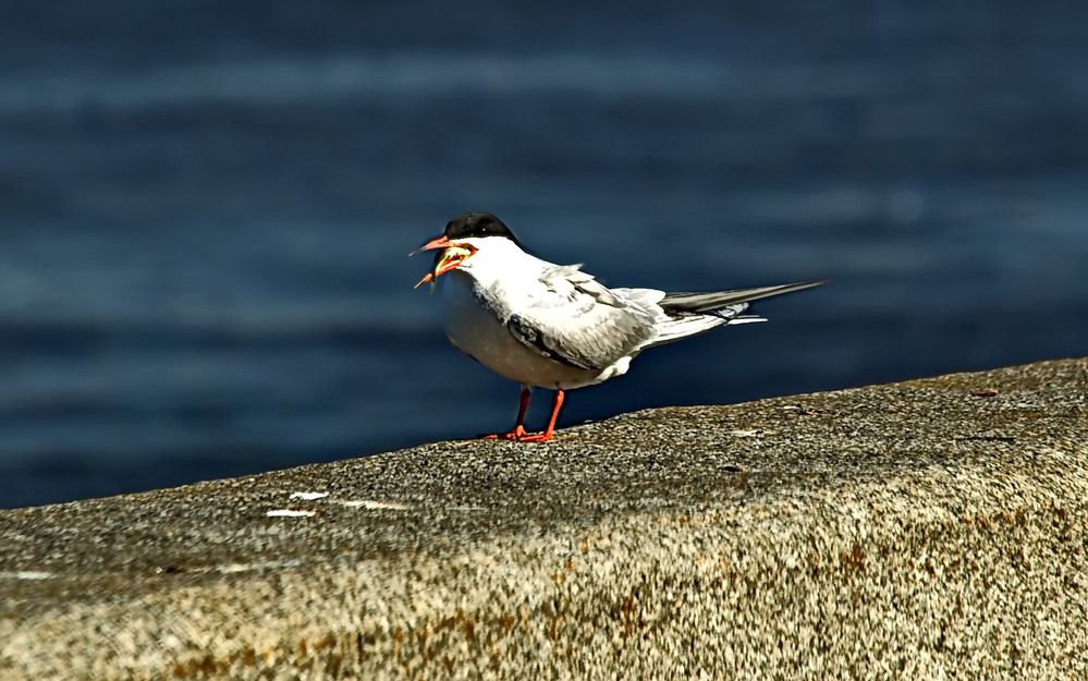 Photograph by Александр