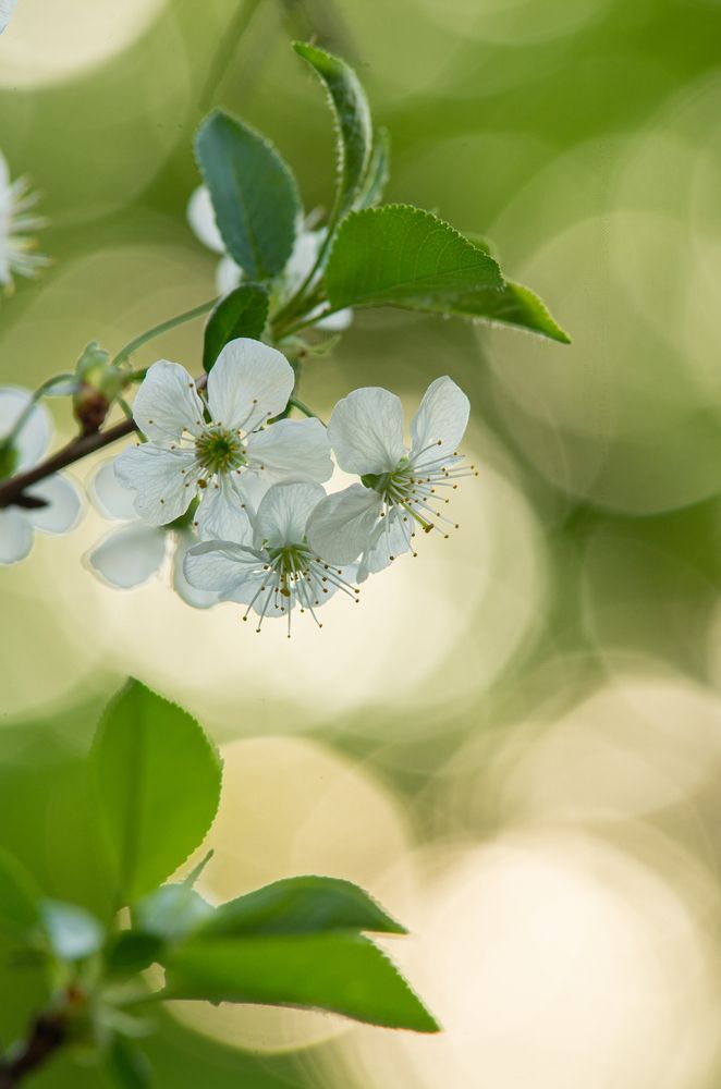 Фотография автора Андрей Черненко