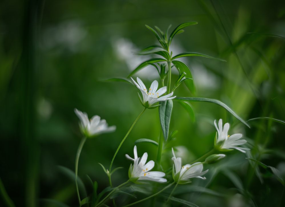 Photograph by Алексей Турчин