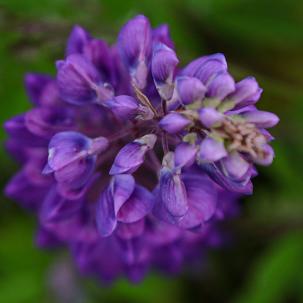 Photograph by Василий Шевчук