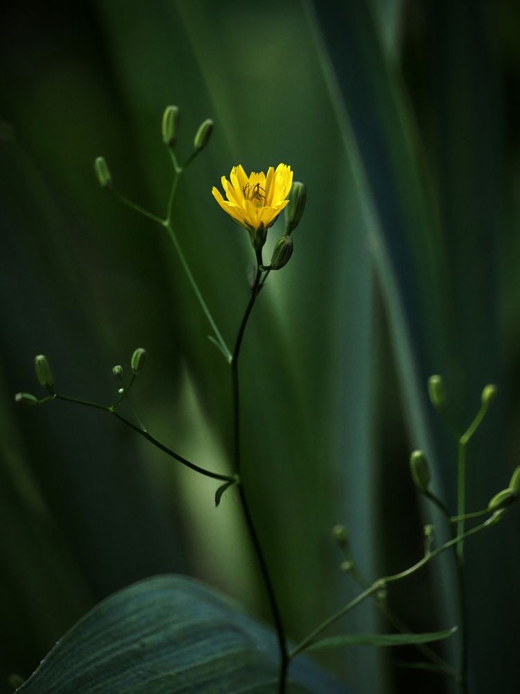 Фотография автора Андрей Черненко