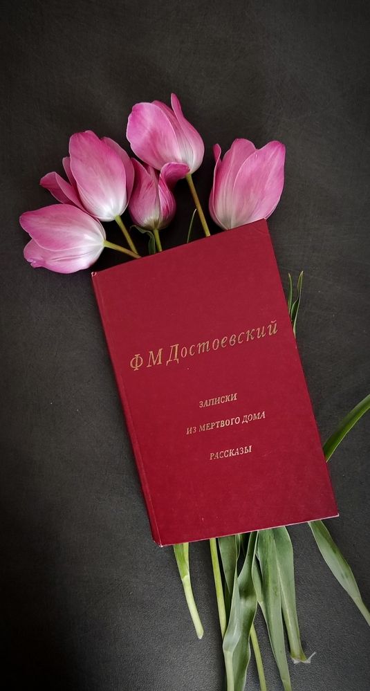 Photograph by Елена Пихурова