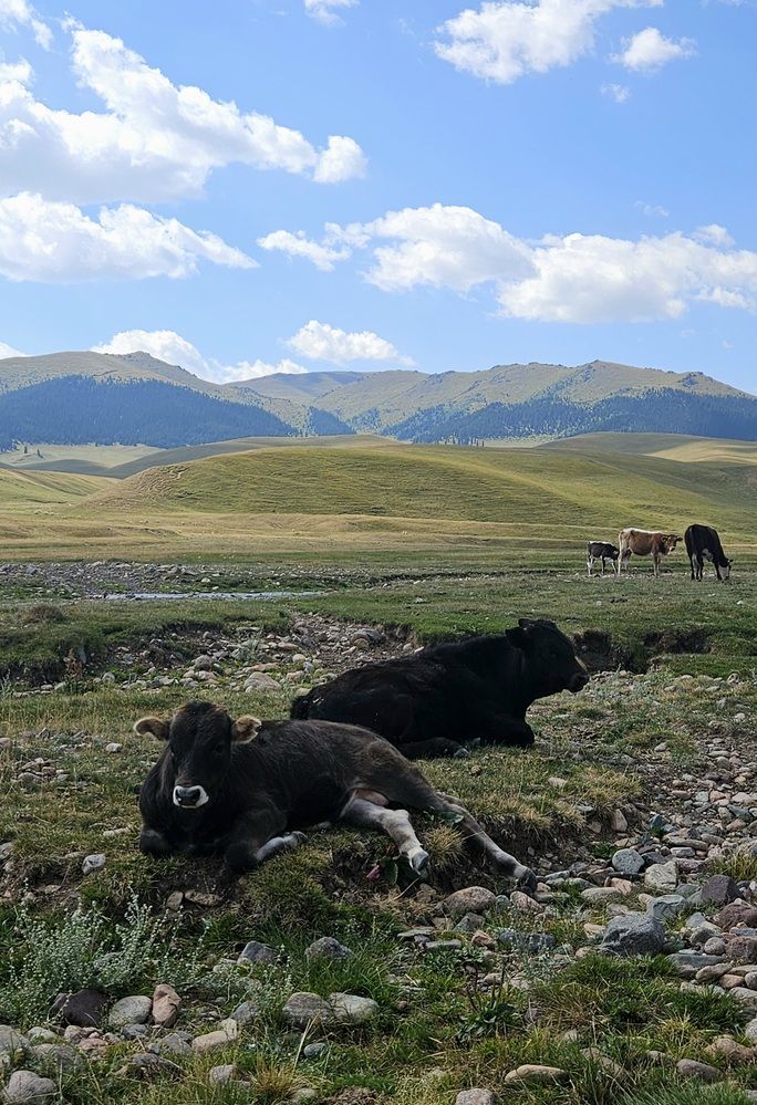 Photograph by Эльвира