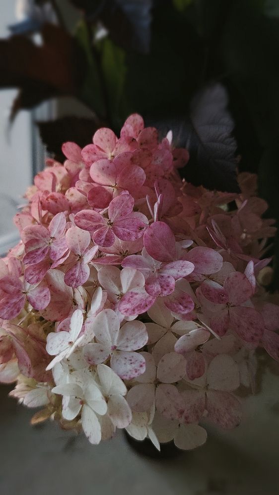 Фотография автора Анна Морозова