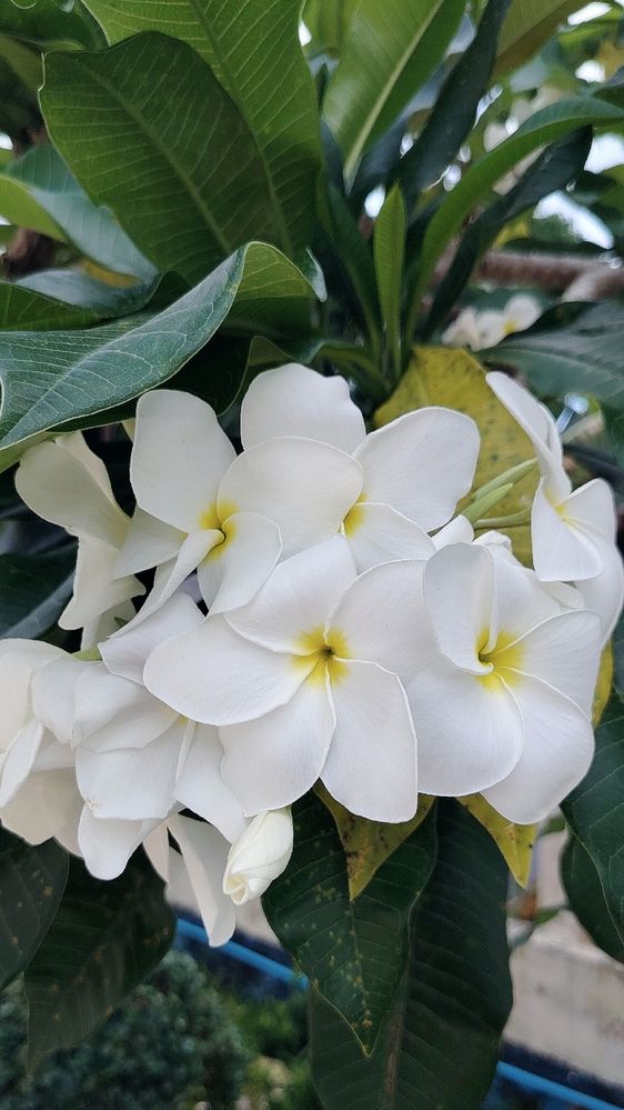 Фотография автора Анна Морозова