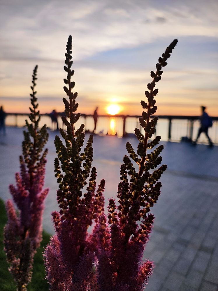 Photograph by Надежда