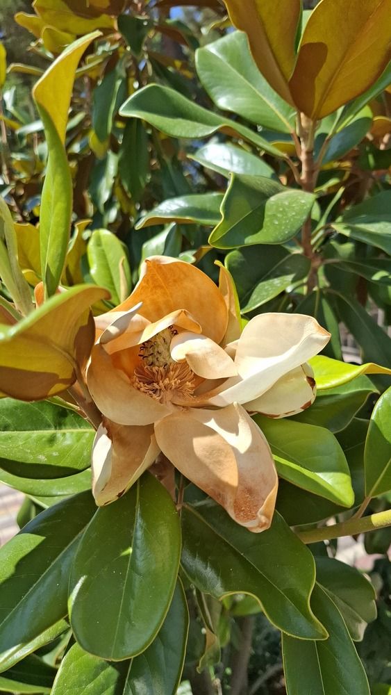 Photograph by Анастасия Воздвиженская