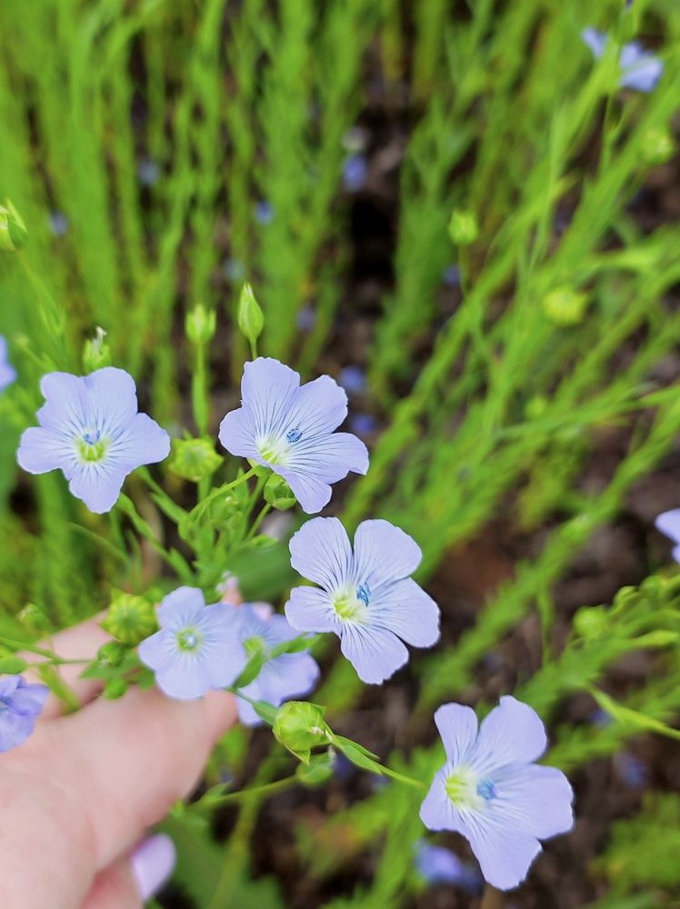 Photograph by Надежда