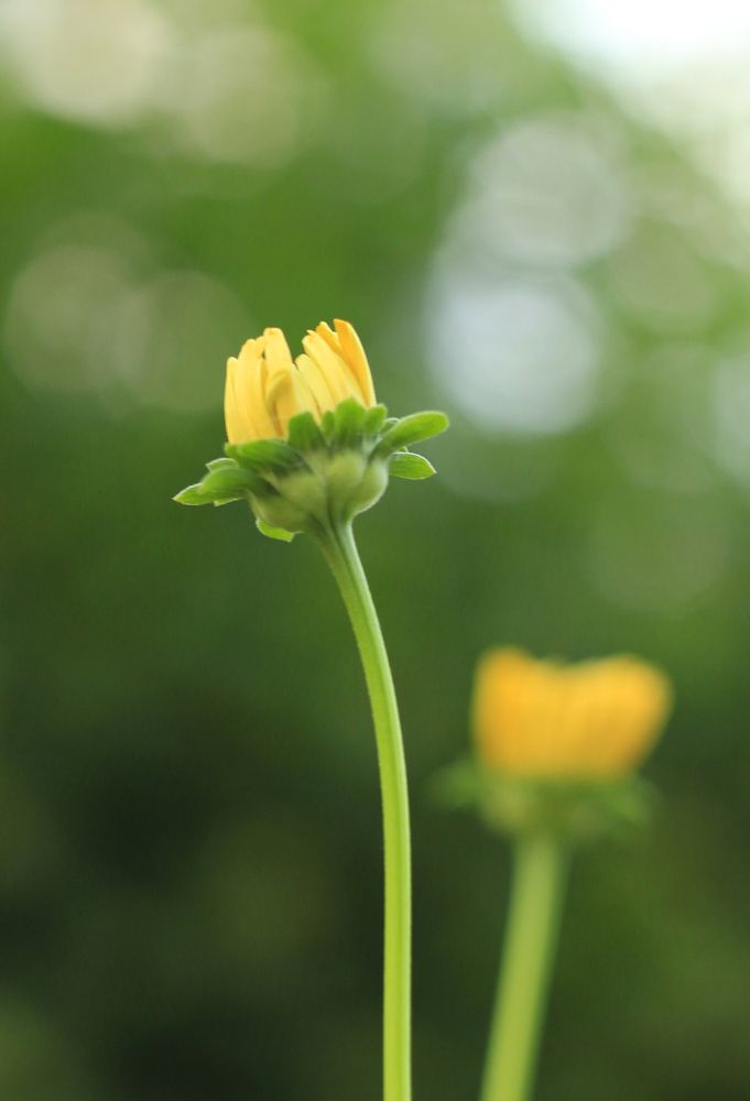 Photograph by Екатерина Иванова