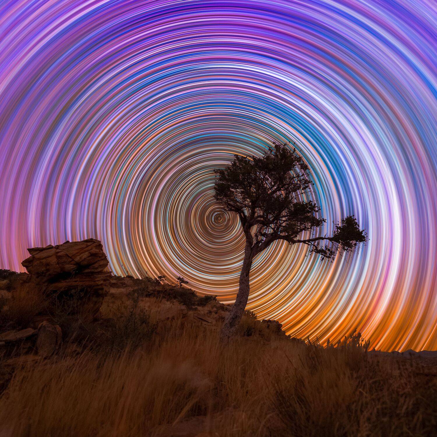 Vortex of Time