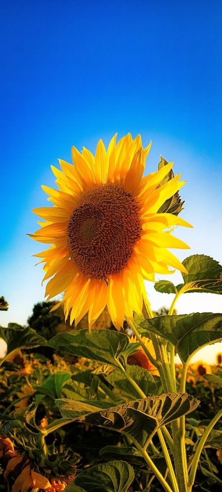 Photograph by Анастасия