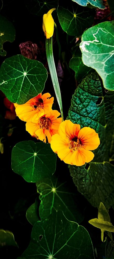 Photograph by Анастасия