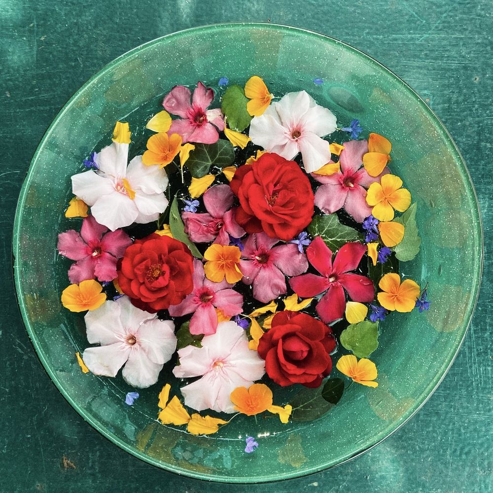 Photograph by Marina Odintsova