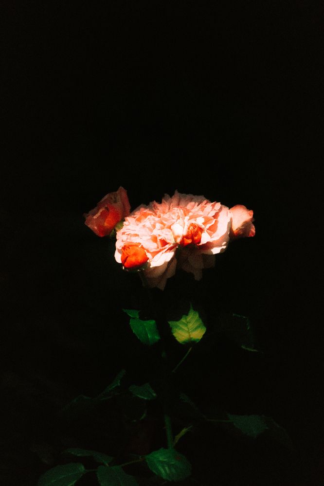 Photograph by Denis Naryshev