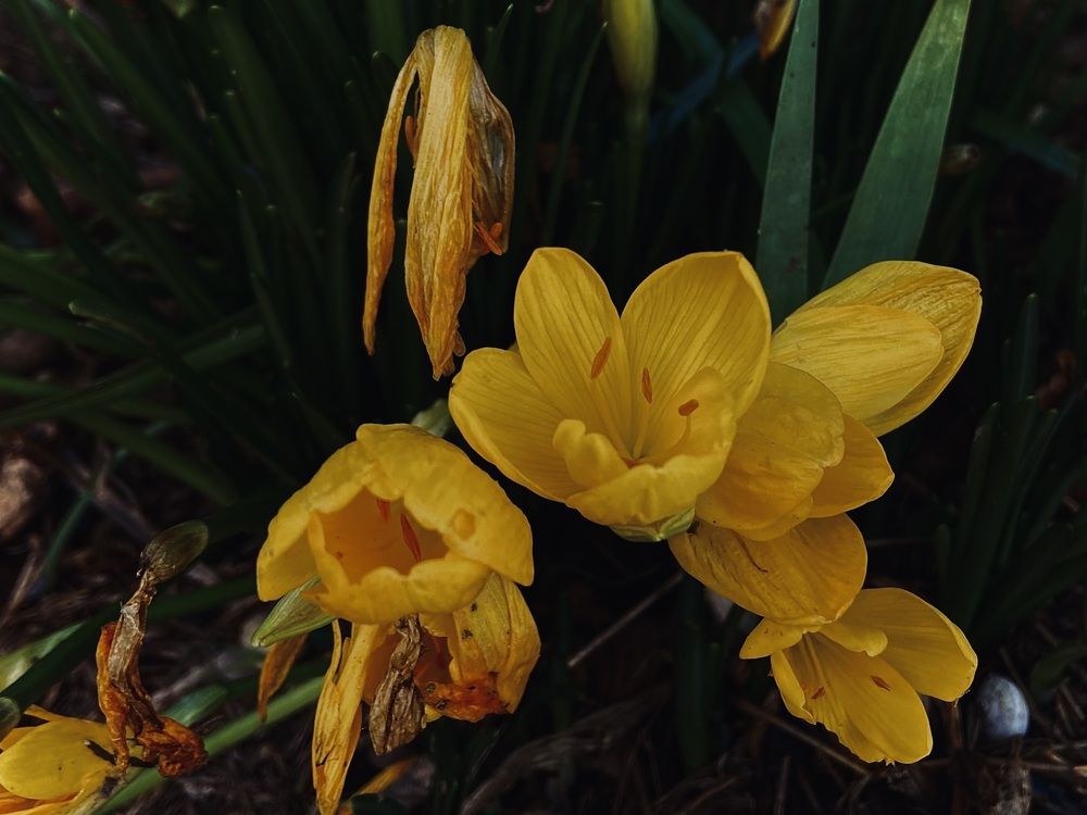 Photograph by Marina Odintsova